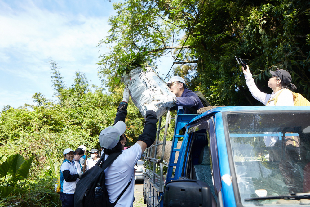 37000a威尼斯串聯志工組成水環境巡守隊，針對霄裡溪沿岸3公里的小花蔓澤蘭，定期進行移除與防治工作
